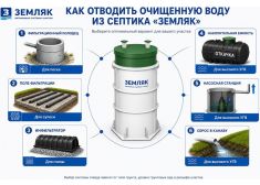 Зорде Рейн 3 Миди