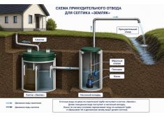 Зорде Рейн 3 Миди