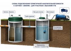 Зорде Рейн 3 Миди
